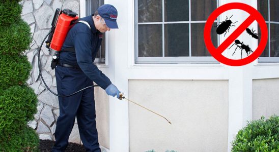 Kırşehir Karınca İlaçlama böcek ilaçlama ve haşere kontrolü — ilaclama-tr.com